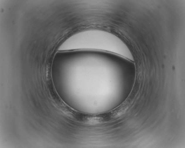 X0000068320268200604211019