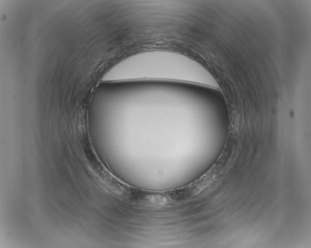 X0000068320272200604211019