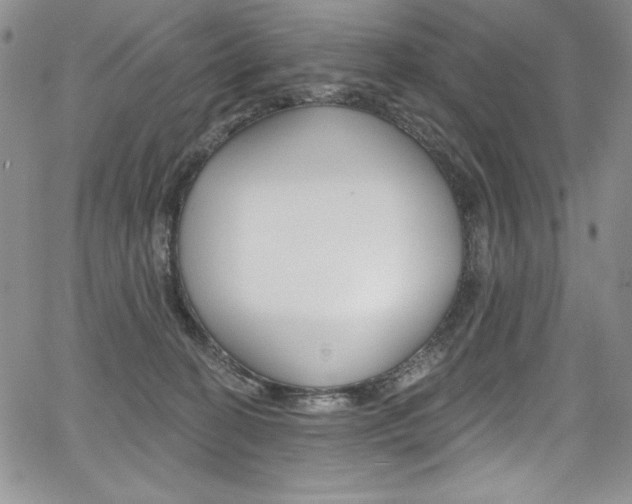 X0000068320274200604211019