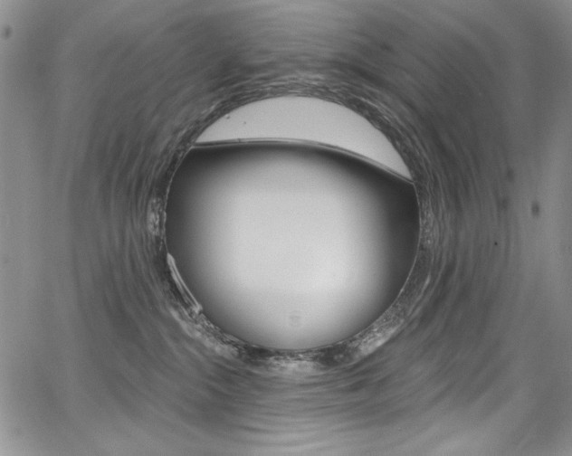 X0000068320284200604211019