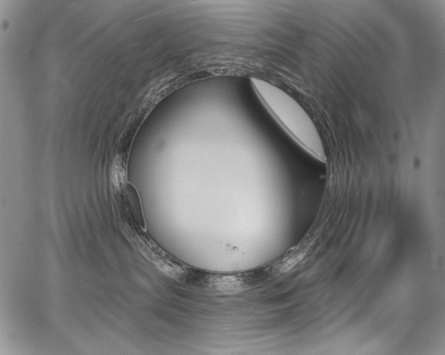 X0000068320287200604211019