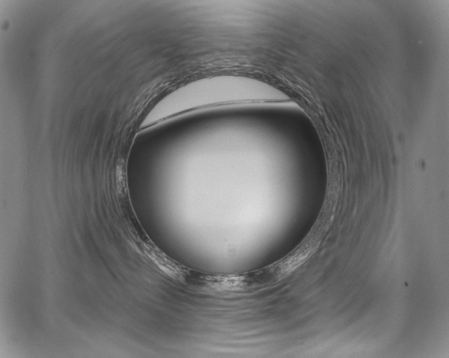 X0000068320288200604211019