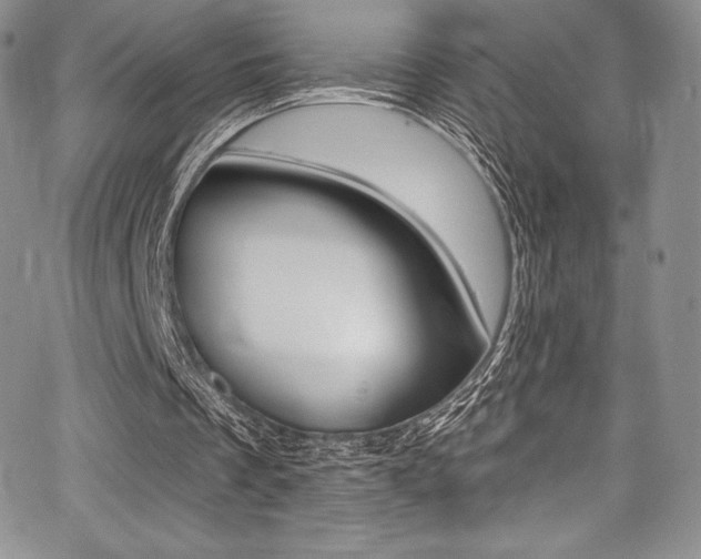 X0000068320289200604211019