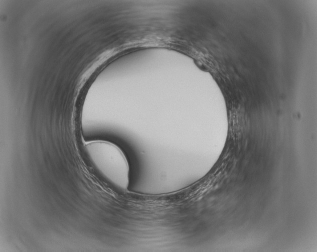 X0000068320292200604211019
