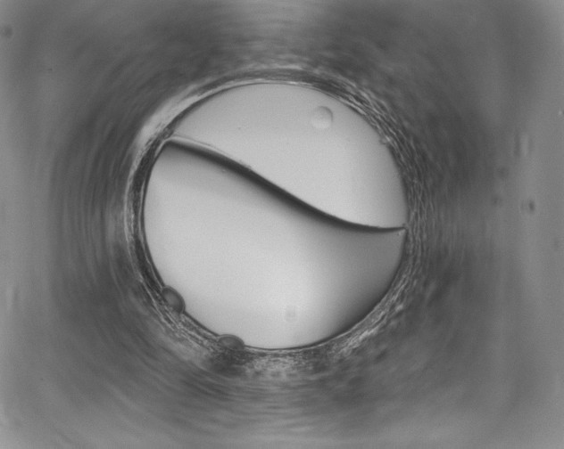 X0000068320294200604211019