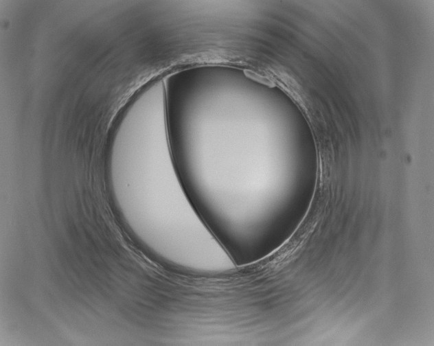 X0000068320301200604211018