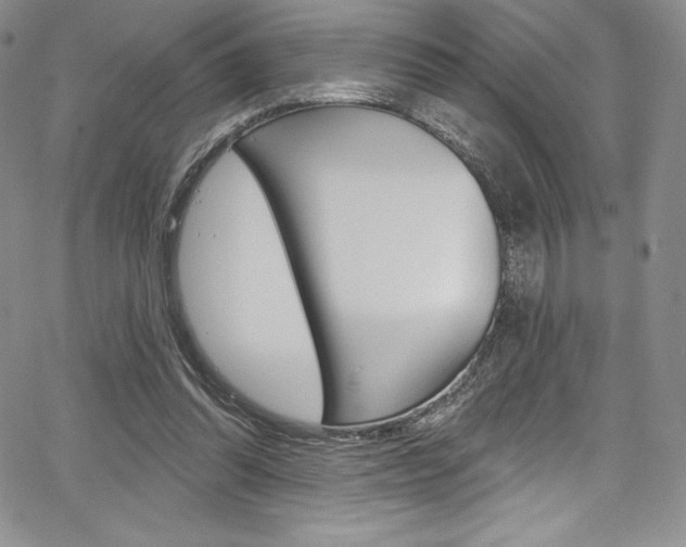 X0000068320302200604211018