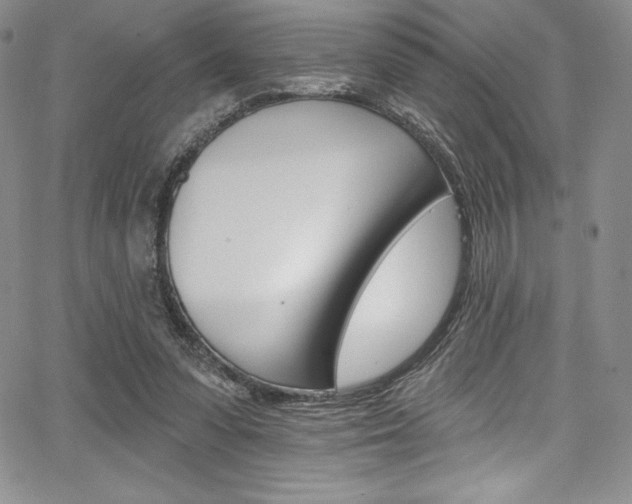 X0000068320303200604211018