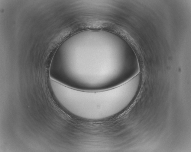 X0000068320305200604211018