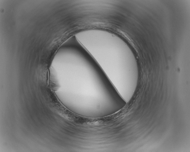 X0000068320307200604211018