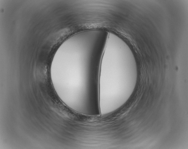 X0000068320308200604211018