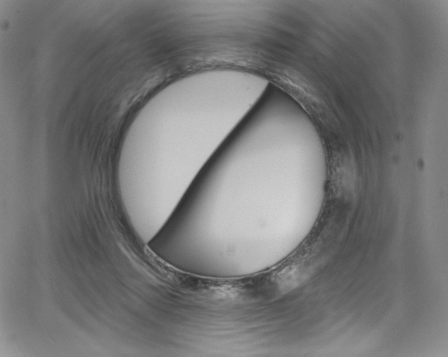 X0000068320310200604211018