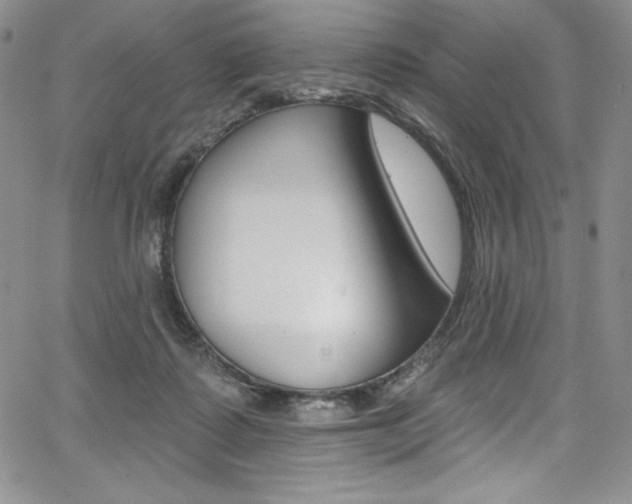 X0000068320315200604211018