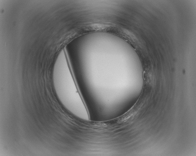 X0000068320317200604211018