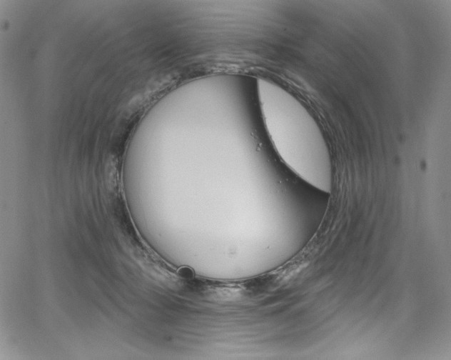 X0000068320318200604211018
