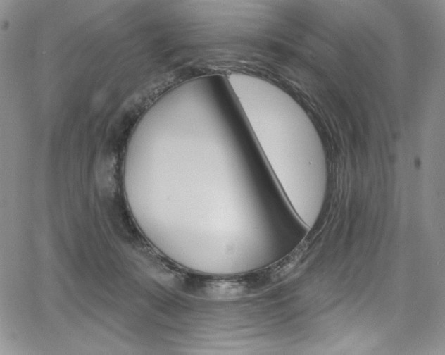 X0000068320319200604211018