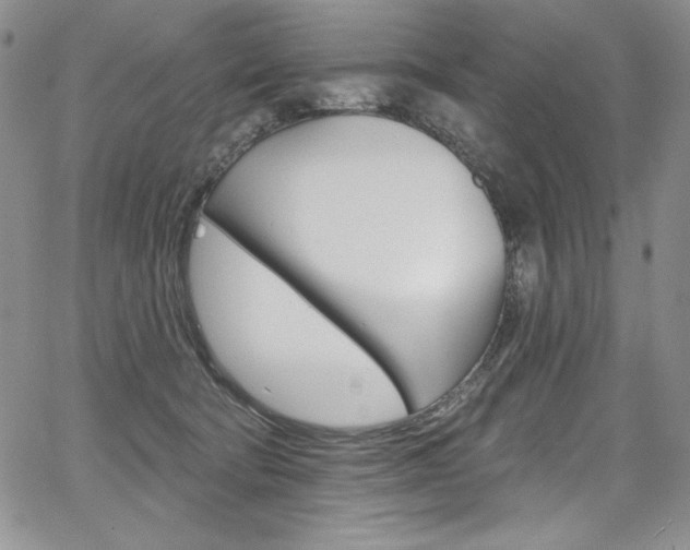 X0000068320322200604211018