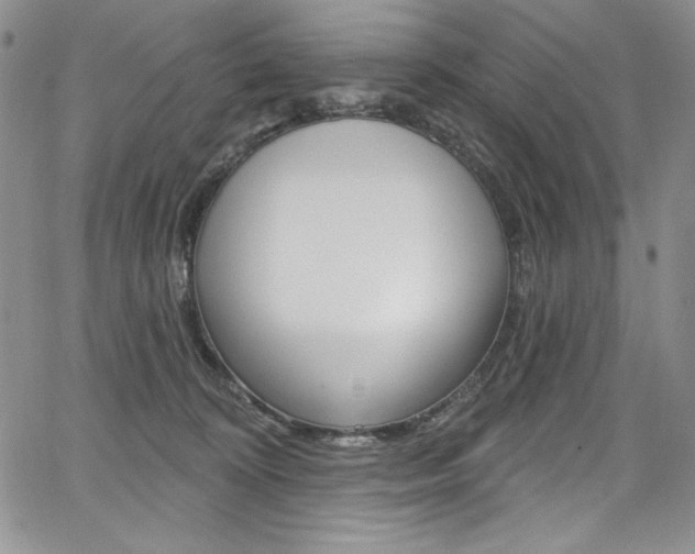 X0000068320324200604211018
