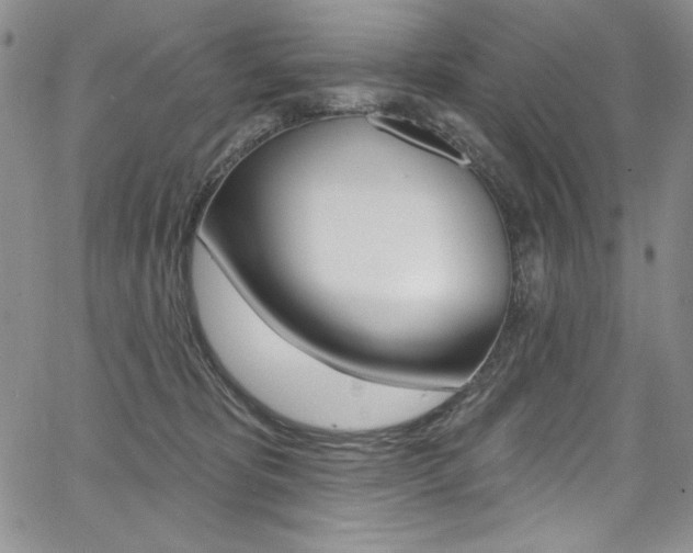 X0000068320325200604211018