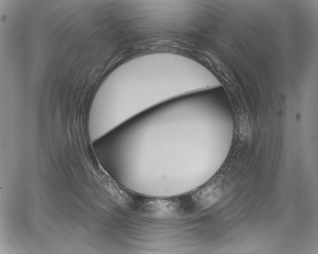 X0000068320326200604211018