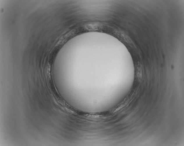 X0000068320332200604211018