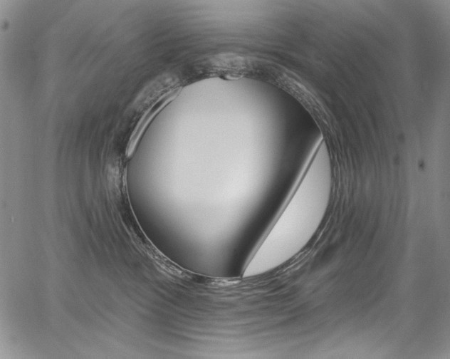 X0000068320333200604211018