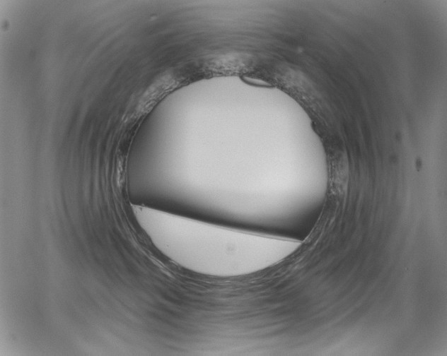 X0000068320334200604211018