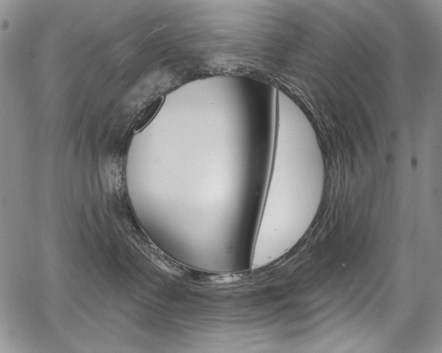 X0000068320335200604211018