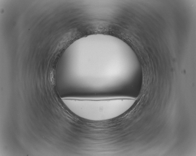 X0000068320336200604211018