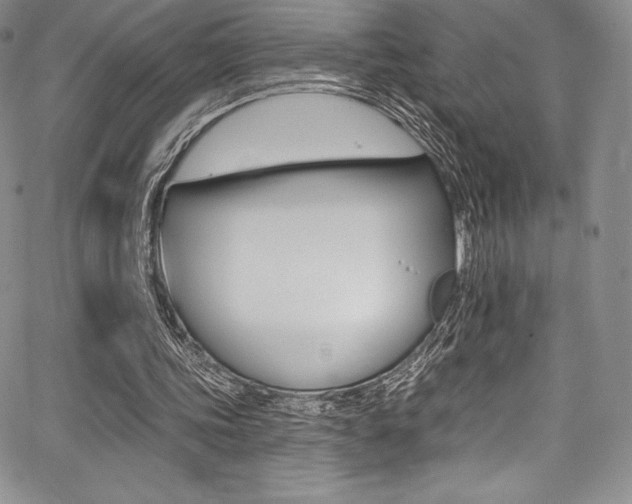 X0000068320339200604211017