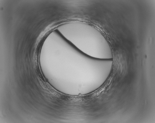 X0000068320343200604211017