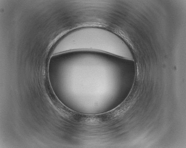 X0000068320348200604211017