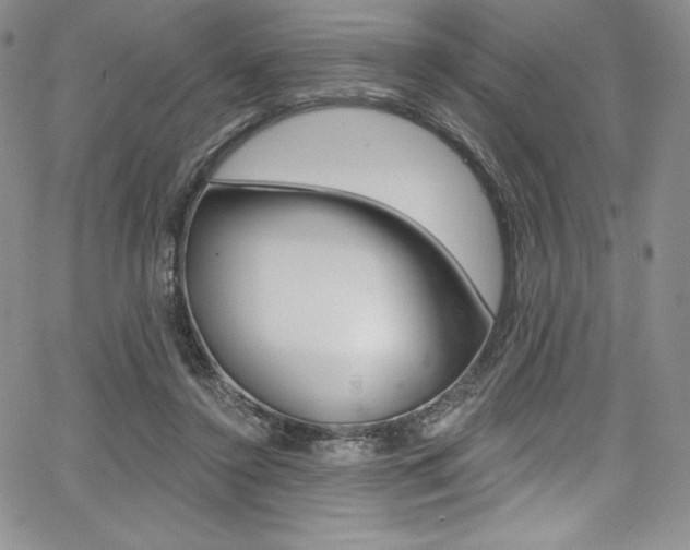 X0000068320356200604211017