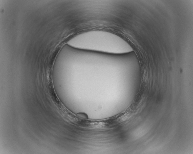 X0000068320363200604211017