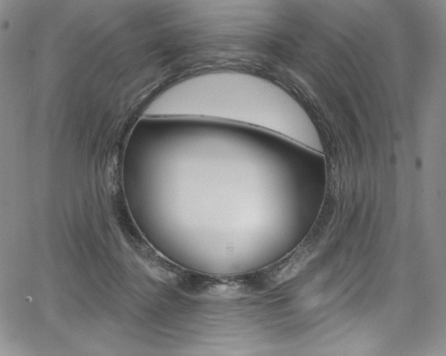 X0000068320364200604211018