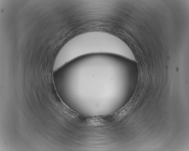 X0000068320372200604211018