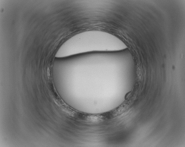 X0000068320375200604211018