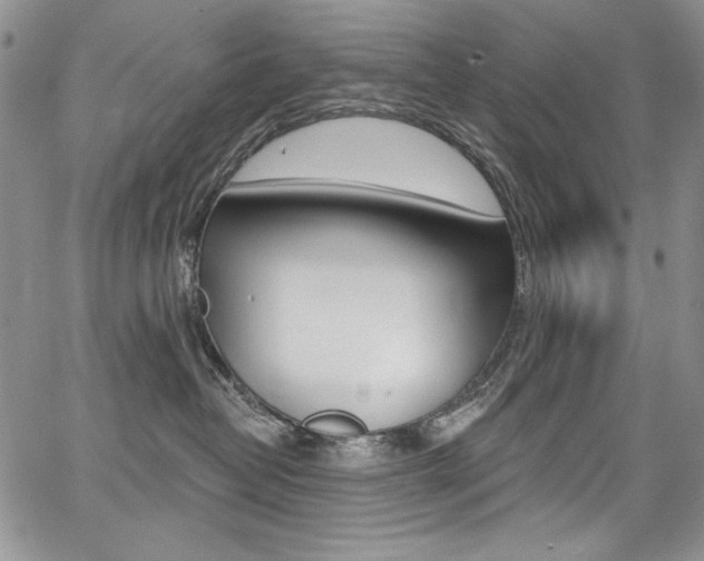 X0000068320382200604211018