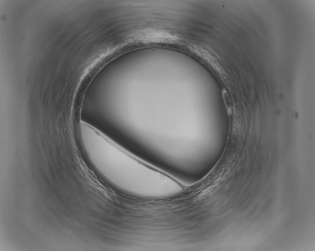 X0000068320391200604211017