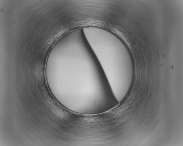 X0000068320394200604211017