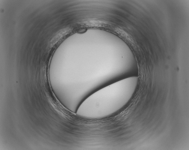 X0000068320398200604211017