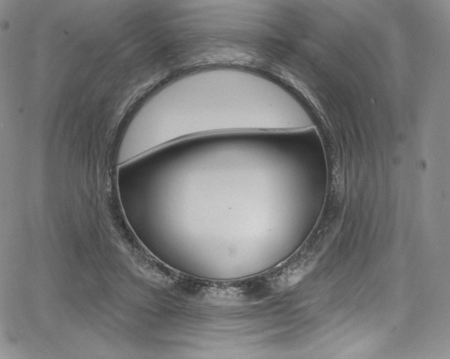 X0000068320403200604211017