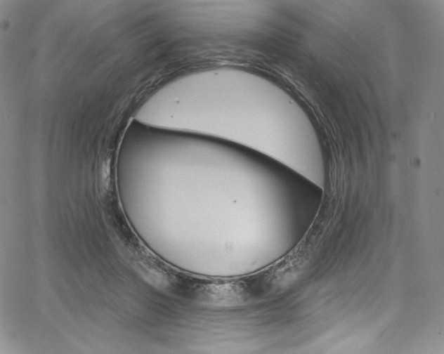 X0000068320406200604211017
