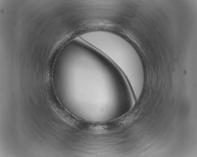 X0000068320407200604211017
