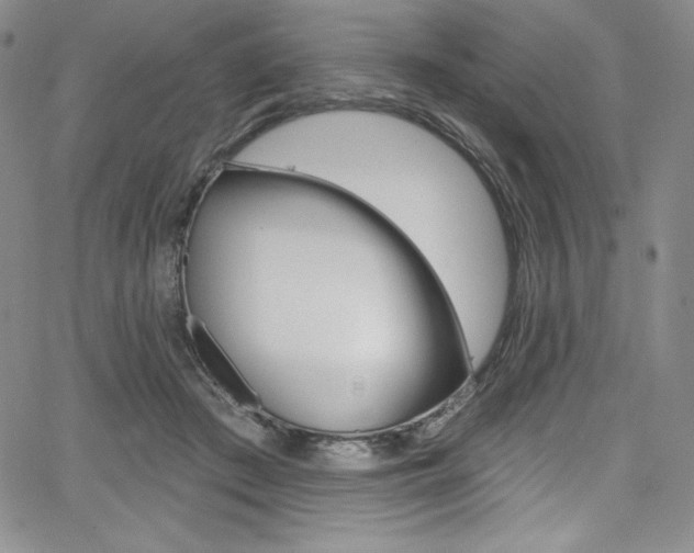 X0000068320409200604211017