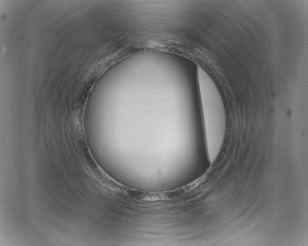 X0000068320415200604211017