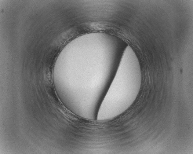 X0000068320418200604211017