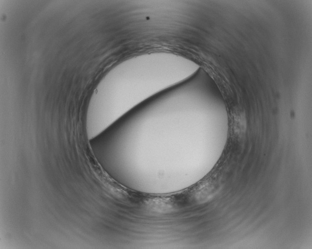 X0000068320422200604211016