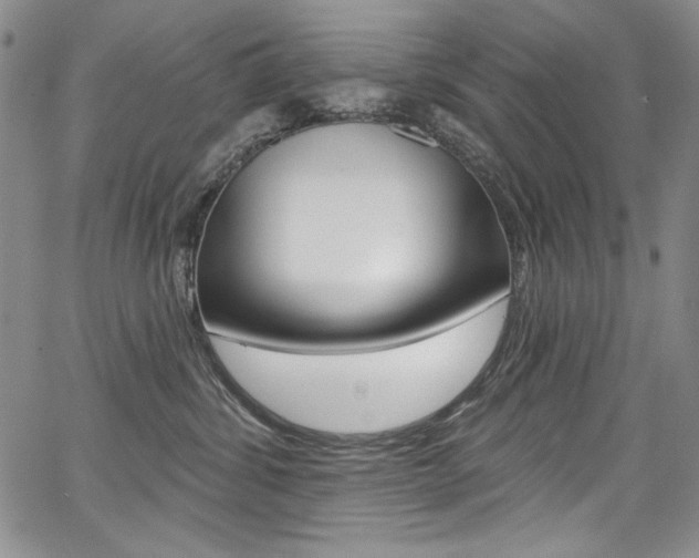 X0000068320428200604211016