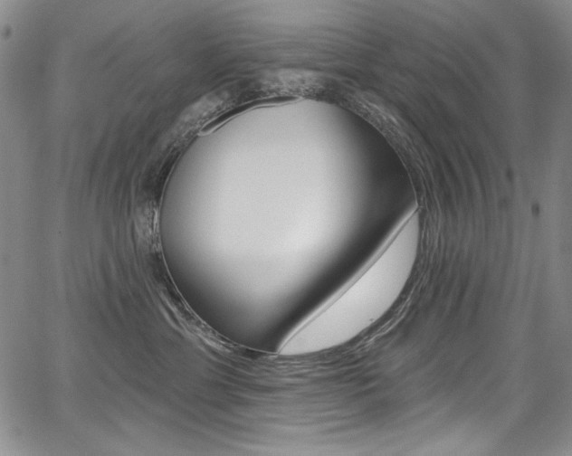 X0000068320429200604211016
